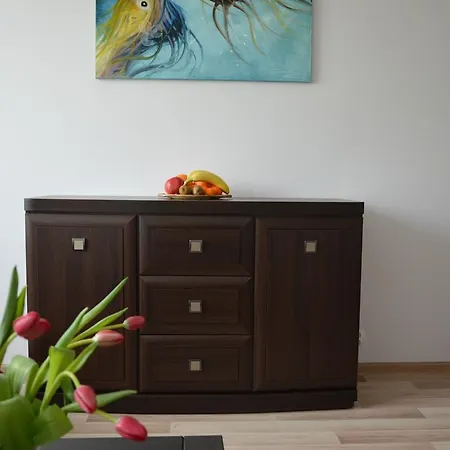 Pomorzany Apartman *